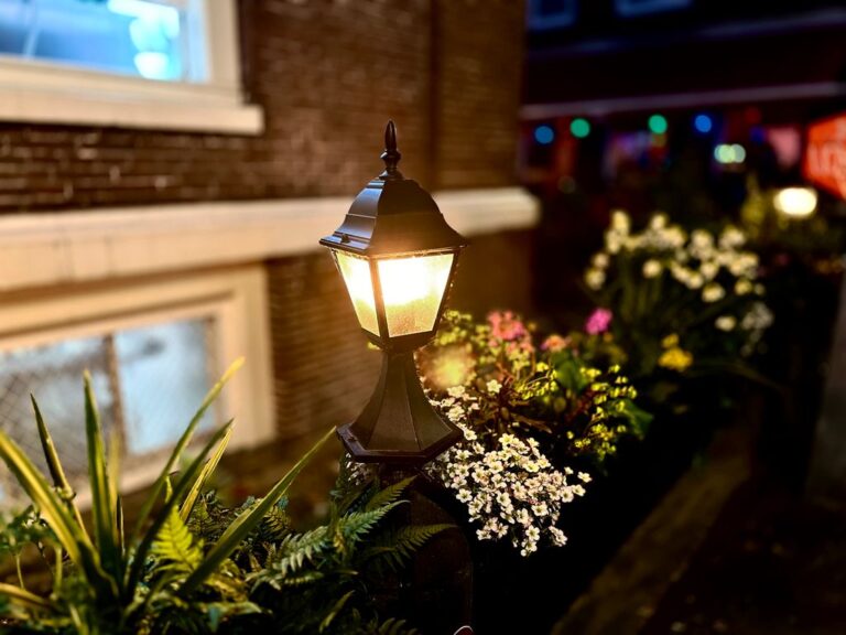 What Every Homeowner Should Know About Outdoor Landscape Lighting